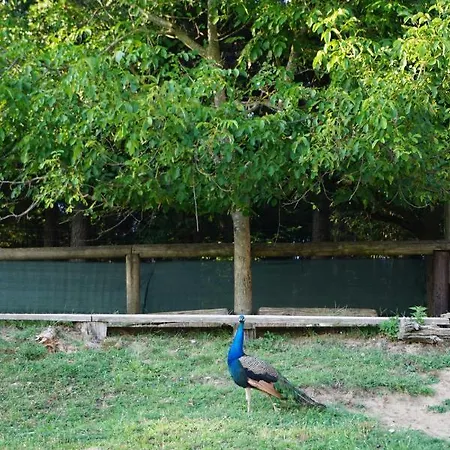 Apartamento Gradlhof *