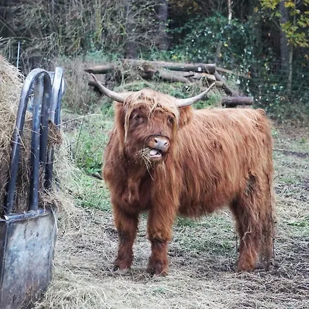 Gradlhof Apartamento *