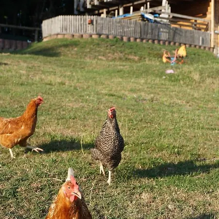 Apartamento Gradlhof *